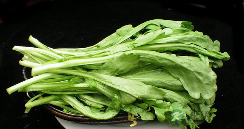 茼蒿的营养价值_吃茼蒿的好处