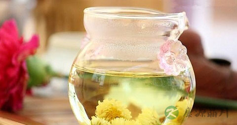 野菊花茶的吃法_哪些人不能吃野菊花茶