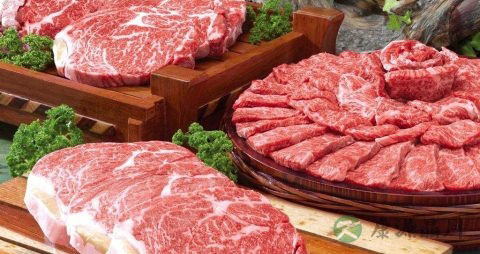 牛肉怎么卤才嫩才好吃