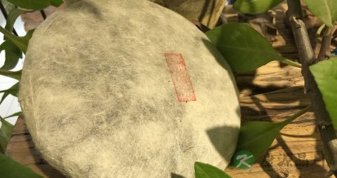 普洱茶生茶好还是熟茶好