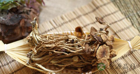 茶树菇的营养价值_吃茶树菇的好处