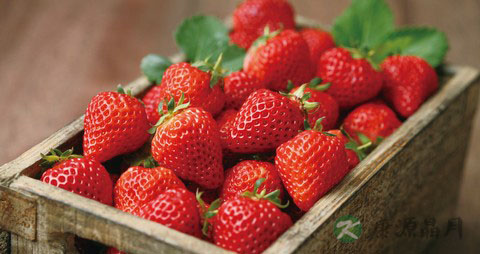 草莓的吃法_哪些人不能吃草莓