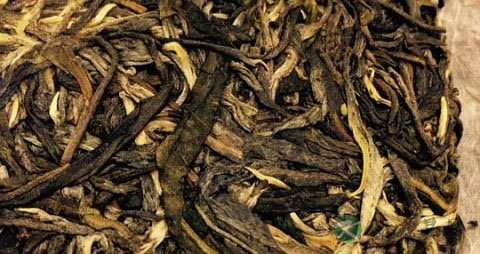普洱茶能减肥吗