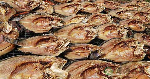 鱼片的营养价值_吃鱼片的好处 鱼片的营养价值_吃鱼片的好处