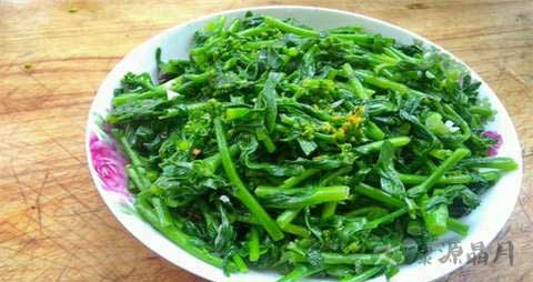 油菜苔的吃法_哪些人不能吃油菜苔
