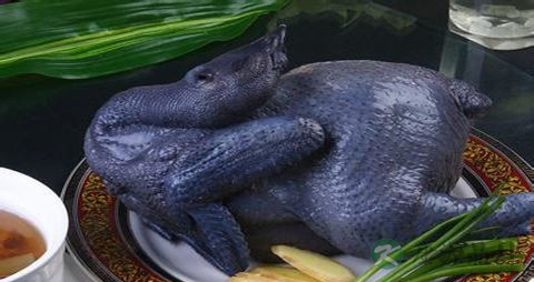 乌骨鸡的吃法_哪些人不能吃乌骨鸡