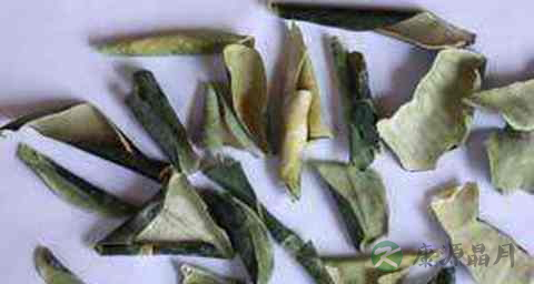 冬瓜皮能治冻疮吗