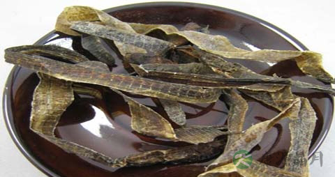地龙的营养价值_吃地龙的好处