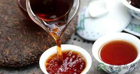 普洱茶可以一直泡着吗