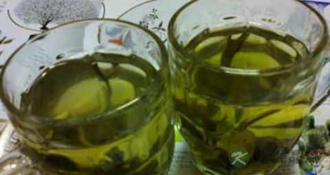 苦丁茶的吃法_哪些人不能吃苦丁茶