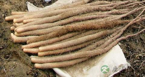 怀山药的营养价值_吃怀山药的好处