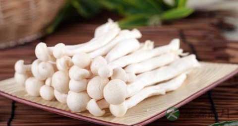 海鲜菇用焯水吗