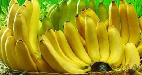晚上吃香蕉会胖吗
