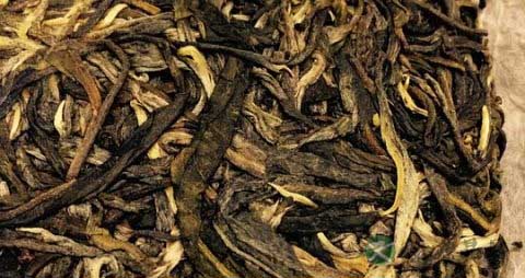 普洱茶怎么泡