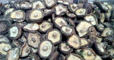 如何泡香菇不跑味