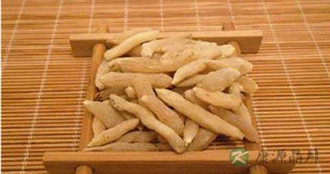 麦门冬的营养价值_吃麦门冬的好处