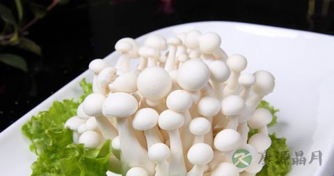白玉菇的营养价值_吃白玉菇的好处