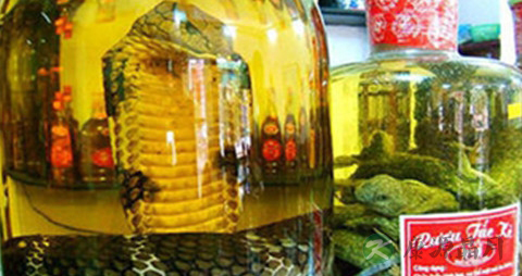银环蛇泡酒