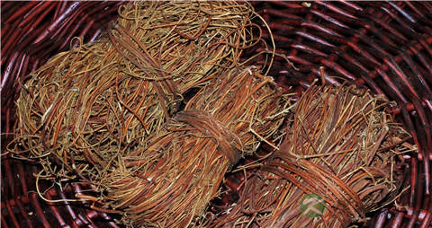 鸡骨草的吃法_哪些人不能吃鸡骨草 鸡骨草的吃法_哪些人不能吃鸡骨草