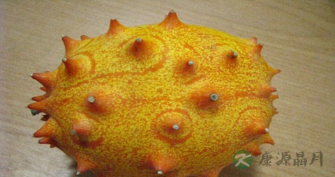 刺角瓜的吃法_哪些人不能吃刺角瓜