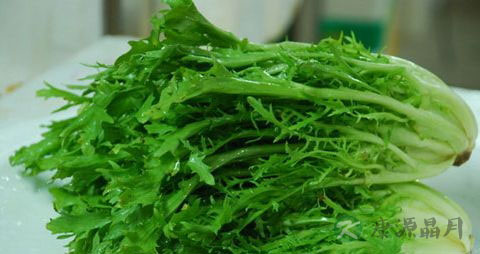 苦细叶生菜的营养价值_吃苦细叶生菜的好处