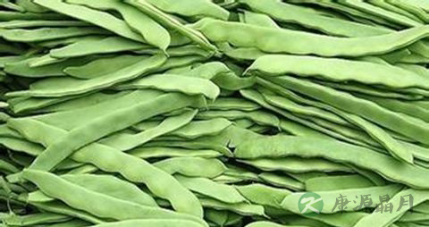 菜豆的营养价值_吃菜豆的好处