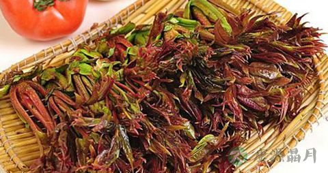 香椿要焯水吗