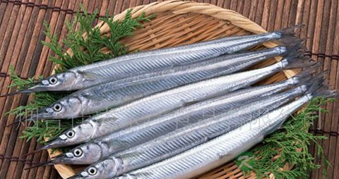 针鱼的吃法_哪些人不能吃针鱼 针鱼的吃法_哪些人不能吃针鱼