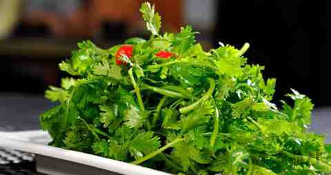 香菜的营养价值_吃香菜的好处