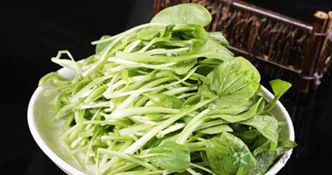 小青菜的吃法_哪些人不能吃小青菜