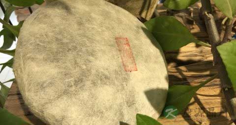 普洱茶怎么泡