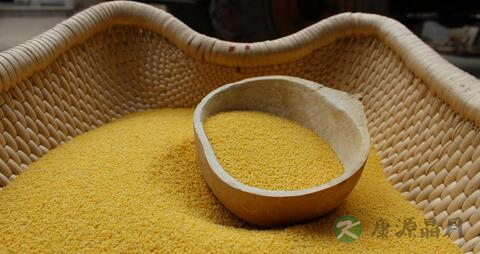 小米属于寒性食物吗