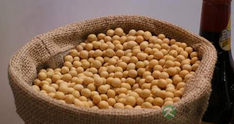 黄豆的营养价值_吃黄豆的好处