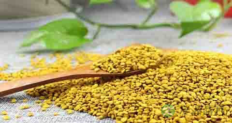 油菜花粉的营养价值_吃油菜花粉的好处