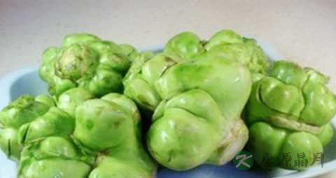 芥菜头可以做泡菜吗