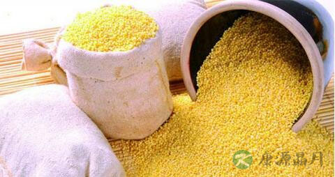 小米属于寒性食物吗
