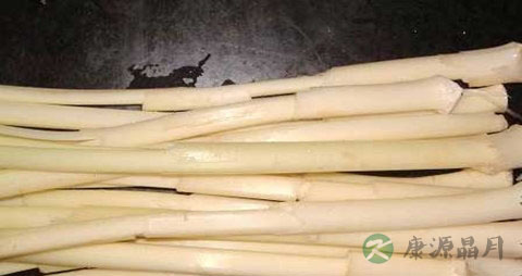 蒲菜的吃法_哪些人不能吃蒲菜