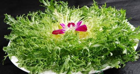 苦菊的营养价值_吃苦菊的好处