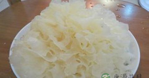 白木耳的营养价值_吃白木耳的好处