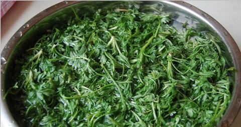 地米菜的吃法_哪些人不能吃地米菜