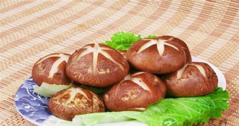 怎么泡香菇更快