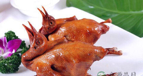 鸽肉的营养价值_吃鸽肉的好处