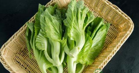 凉拌芥菜需要过水吗