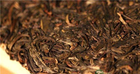 普洱茶的产地