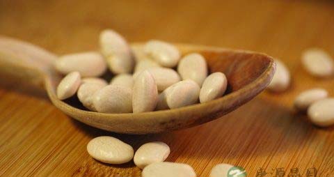 打豆浆需要泡黄豆吗