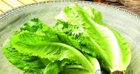生菜的营养价值_吃生菜的好处