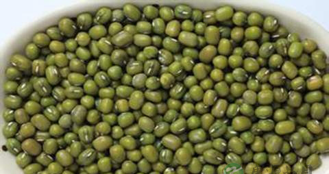 绿豆的营养价值_吃绿豆的好处