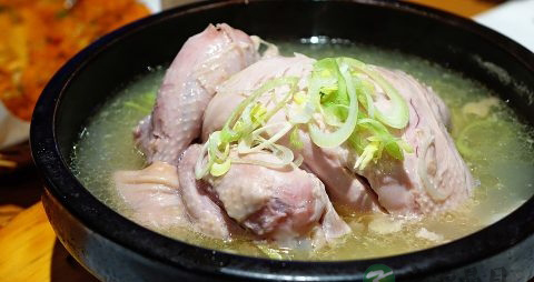 鸭子和什么煲汤