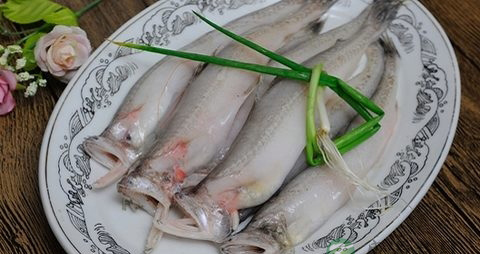豆腐鱼的营养价值_吃豆腐鱼的好处
