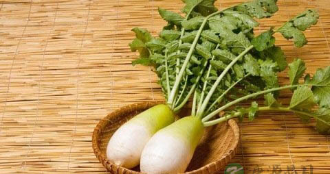 白萝卜条怎么腌制好吃